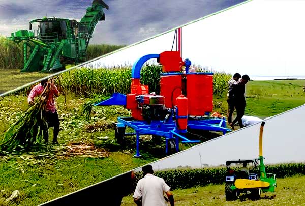 Cow farming machinery and Silage packing in Bangladesh